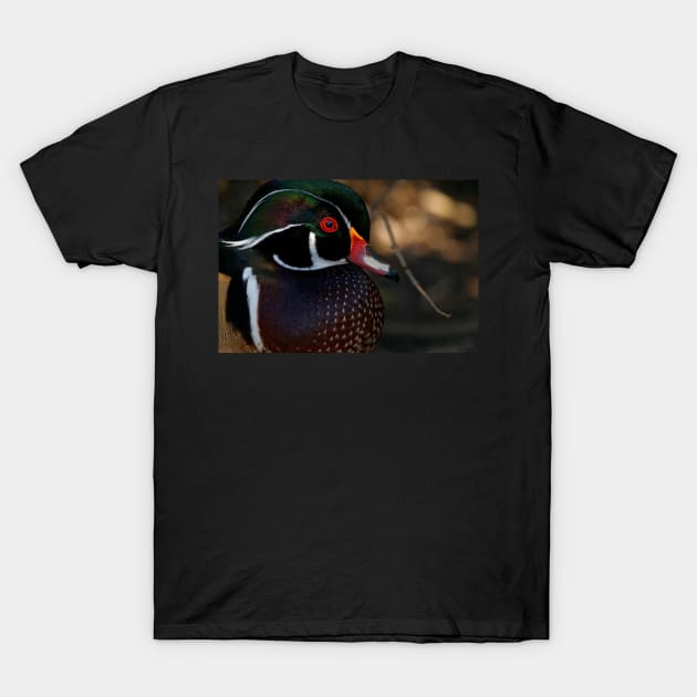 Wood Duck - Male Close Up T-Shirt by SHWILDLIFE